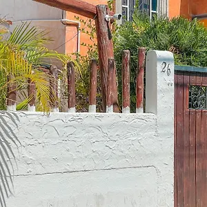 Pecari 26 Cancún
